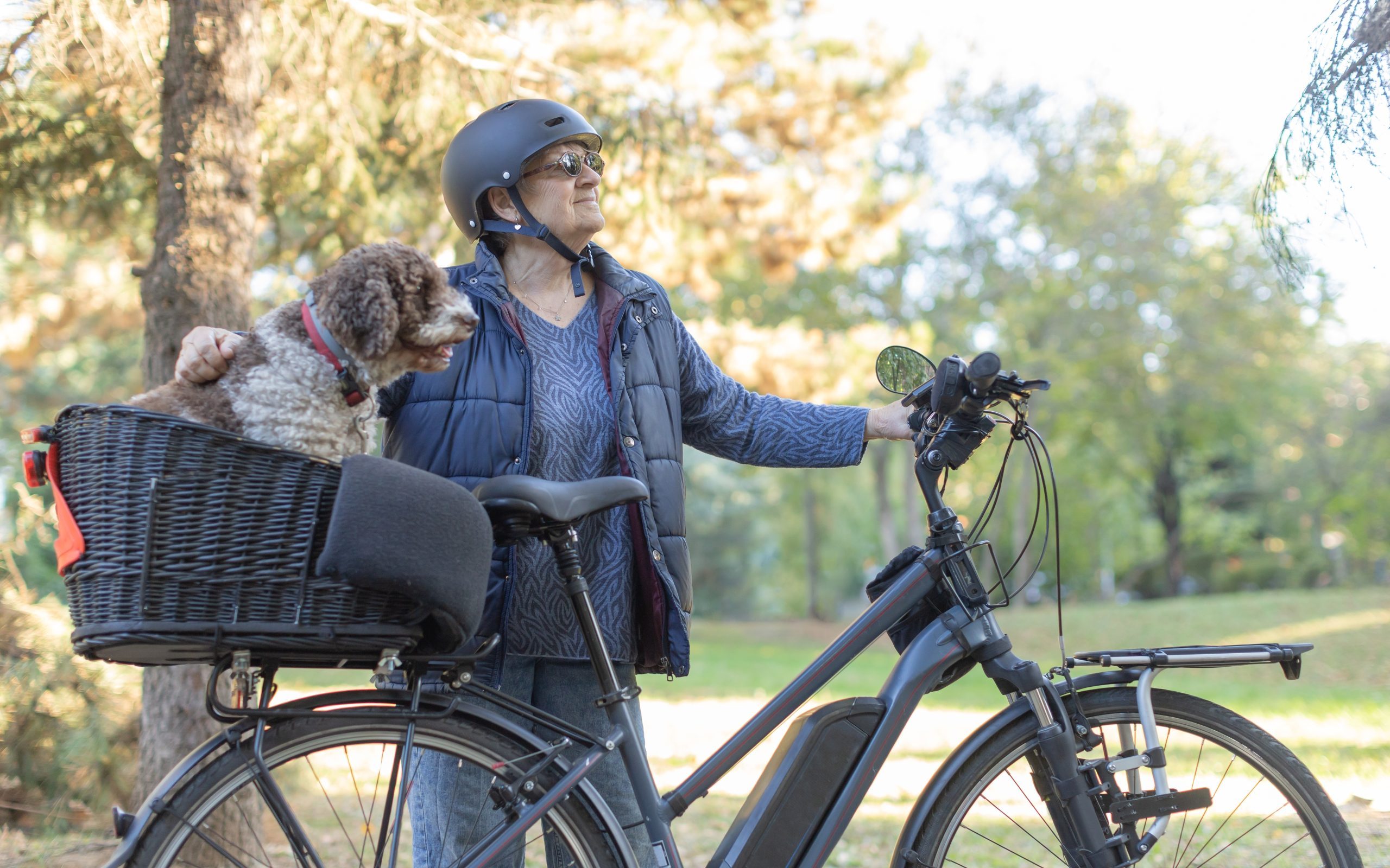 dog-in-ebike-basket-scaled-e1719183942416.jpg detail image