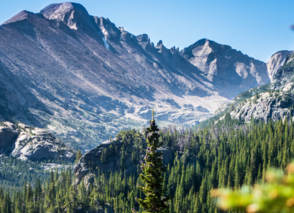 2045 Statewide Transit Plan Background.png detail image