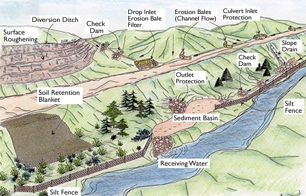 River And Riparian detail image