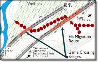 Wildlife Bridges detail image