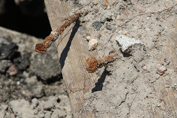 Rusted nails.jpg detail image
