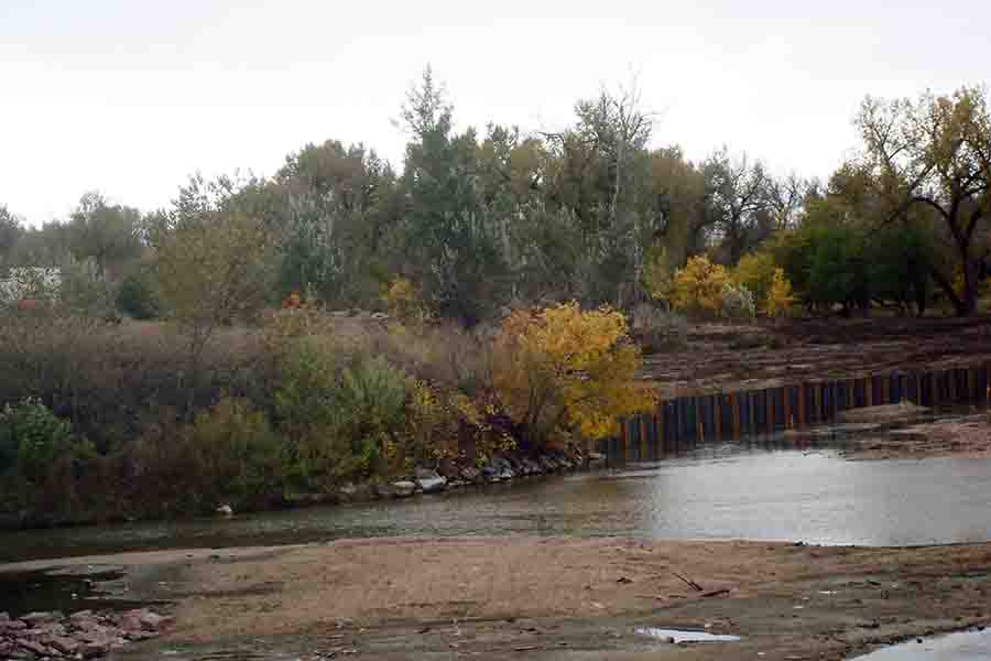 South Wall and Wetlands.jpg