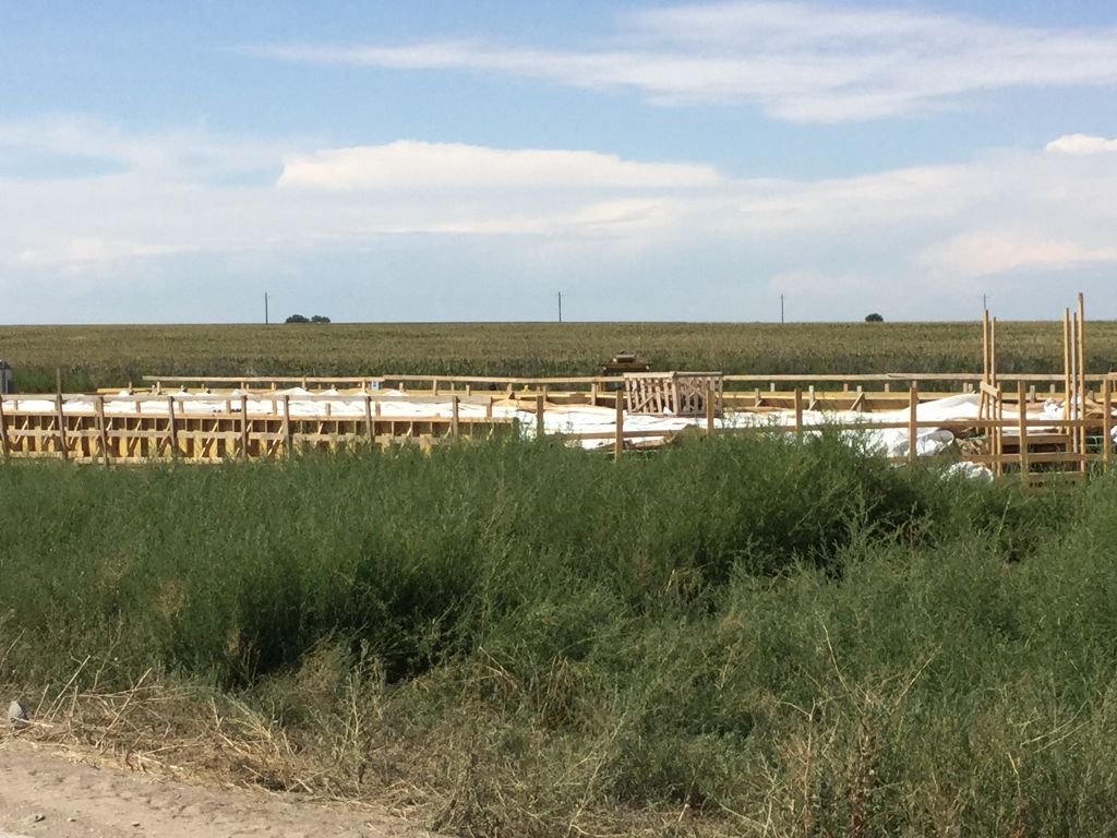 new poured bridge deck ready to be placed.JPG detail image