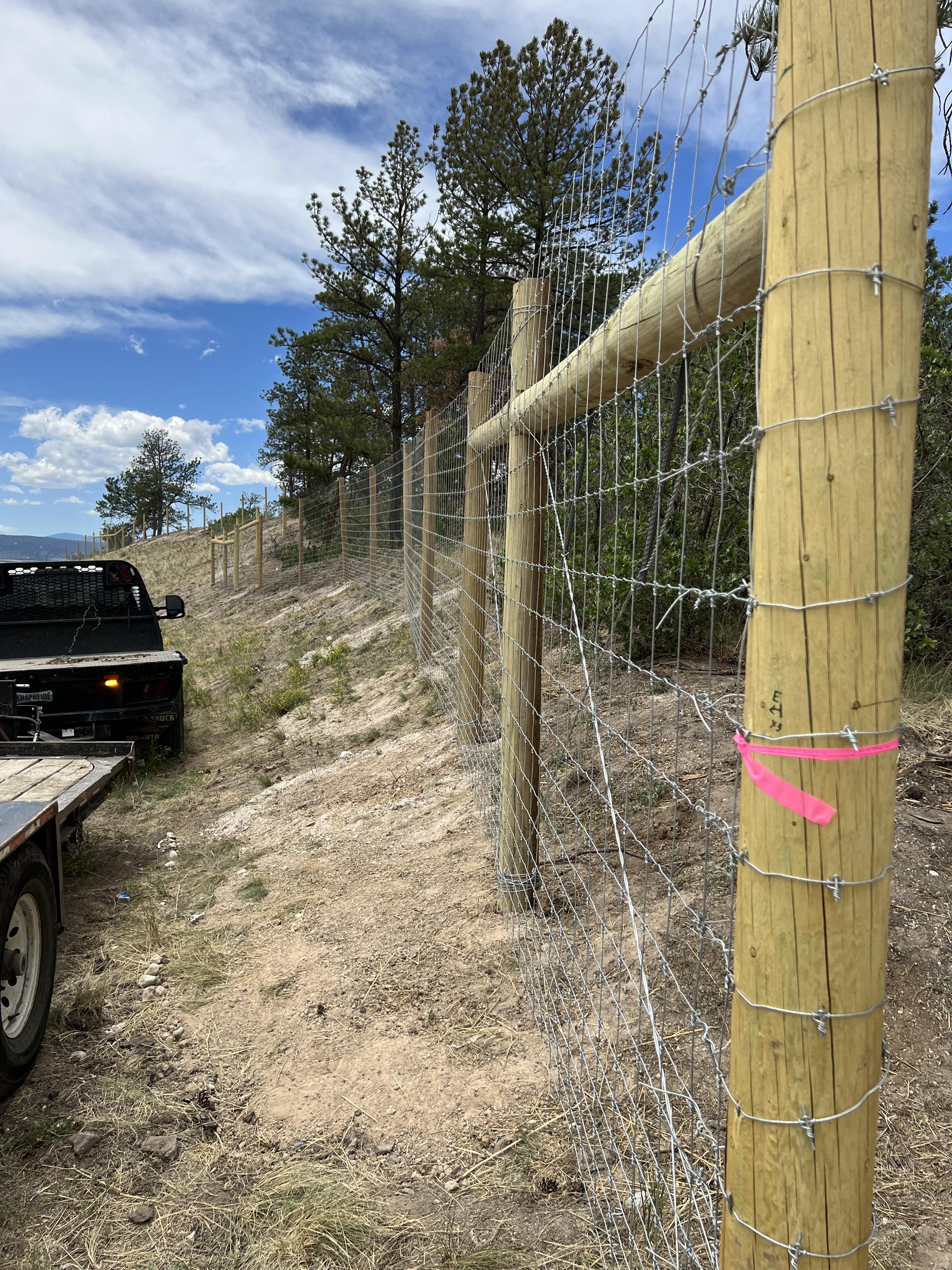 Wildlife fencing on west side of I-25 near Happy Canyon Road detail image