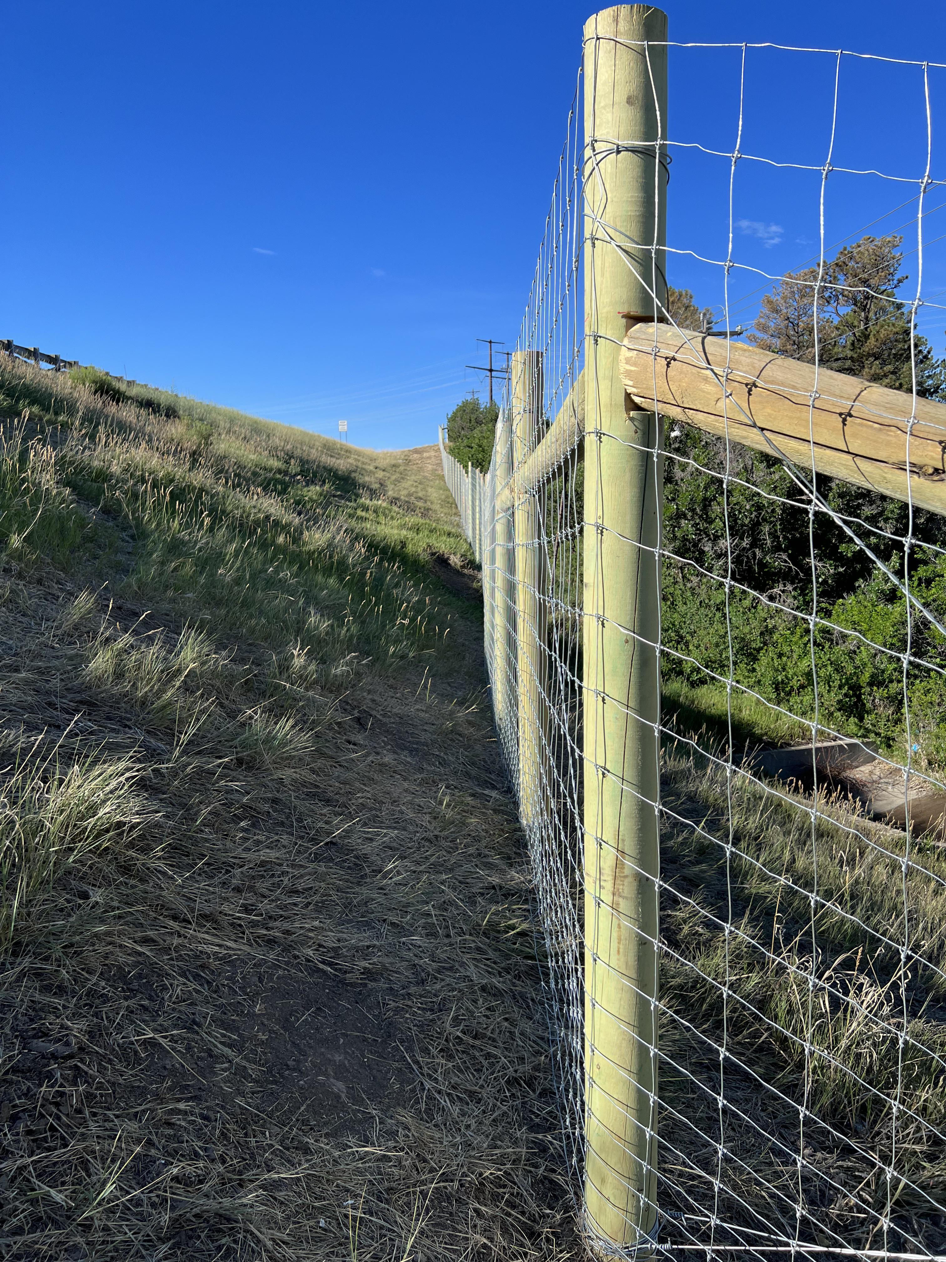 Completed section of the I-25 wildlife fencing on the west side of the highway. Crews will be moving to the east side in August. detail image