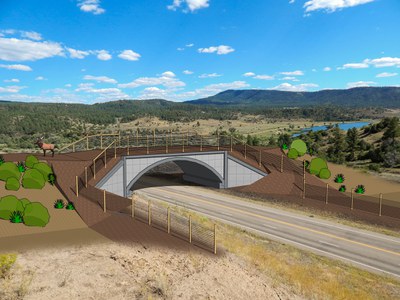 US 160 Wildlife Crossing Artist Rendering