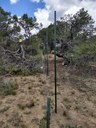 New poles are installed for the fencing alignment along the existing fenceline. thumbnail image