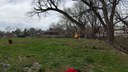 Beginning of removal of trees on the east side of Wadsworth in Lakewood Gulch. thumbnail image