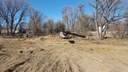 Wadsworth: Tree Removal March 2016 thumbnail image