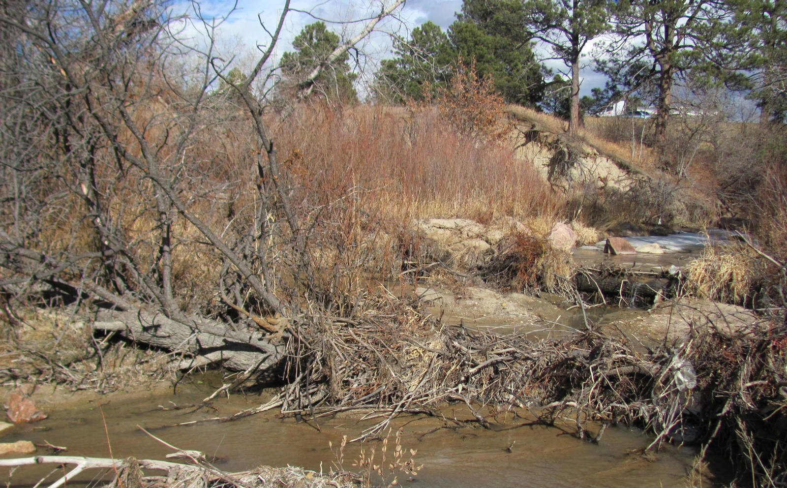 Before-Median I-25-MC-2.JPG detail image