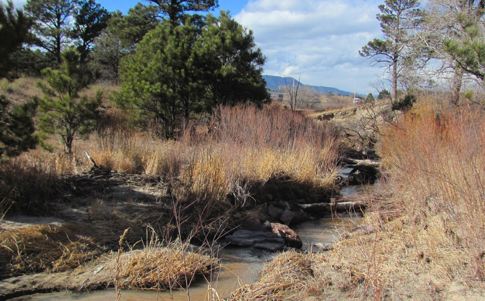 Before-Median I-25-MC-3.JPG detail image