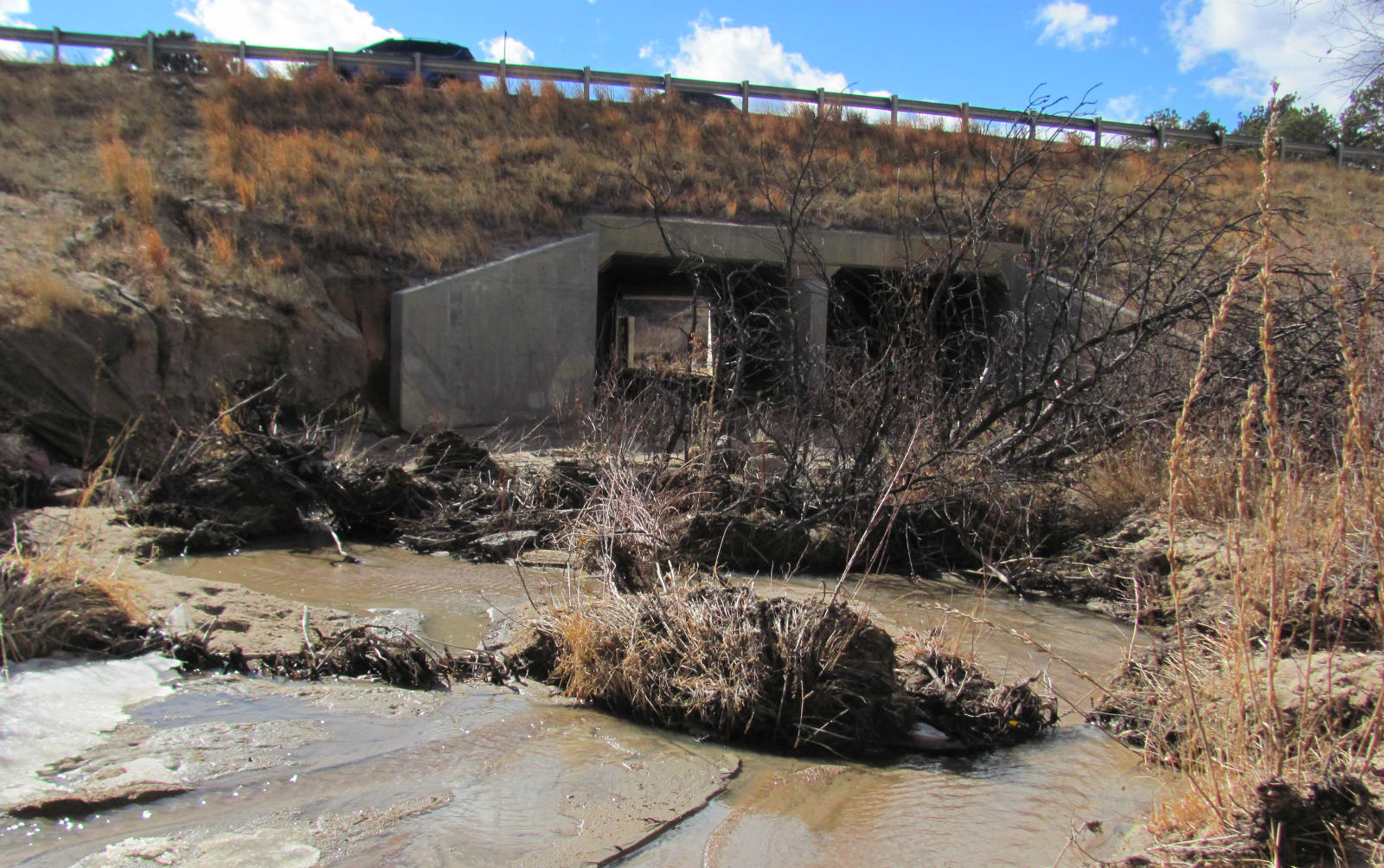 Before-Median I-25-MC-8.JPG detail image