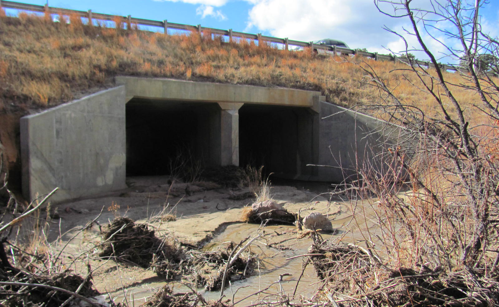 Before-Median I-25-MC-9.JPG detail image