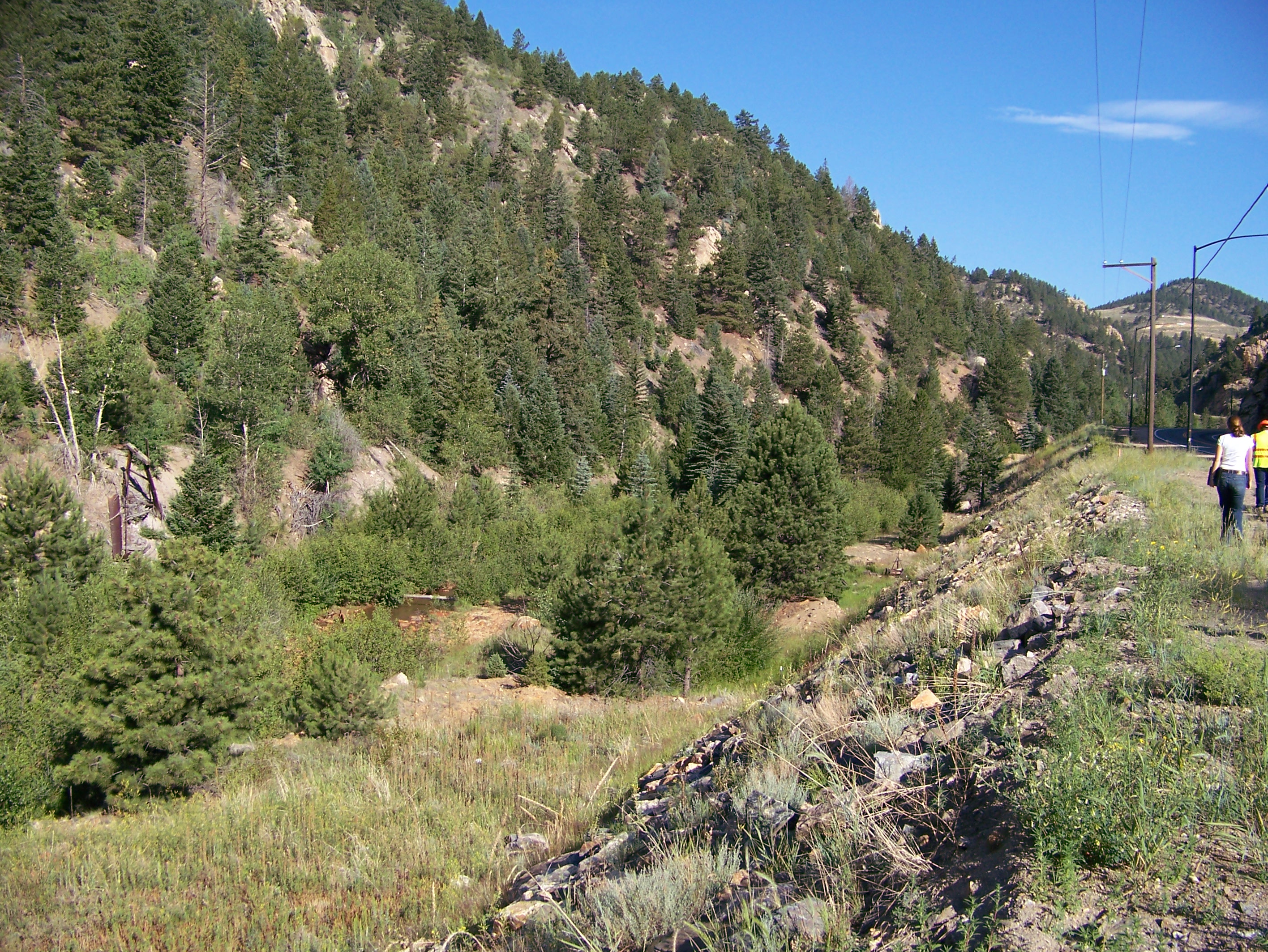 100_0496.jpg detail image