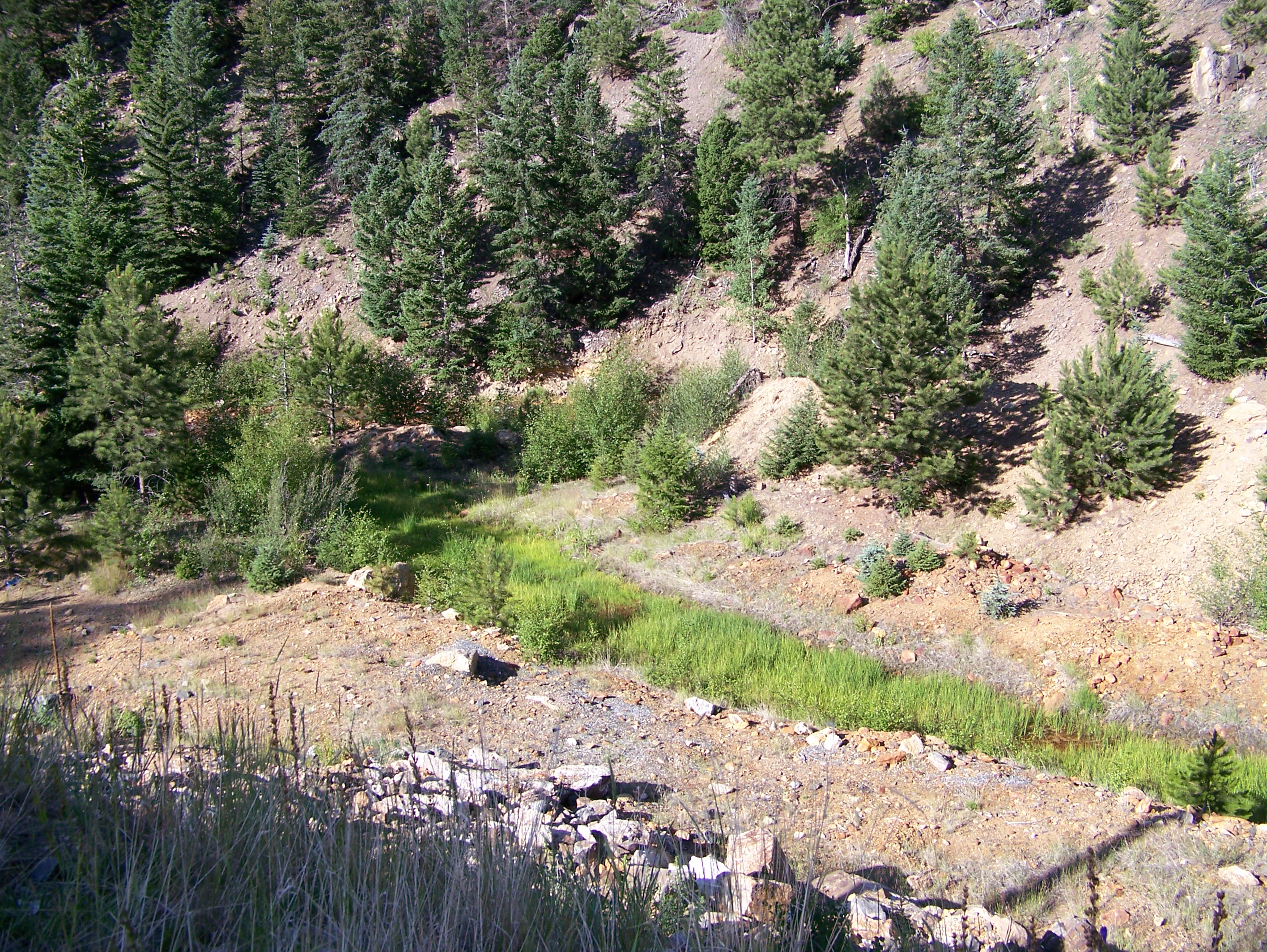 100_0501.jpg detail image
