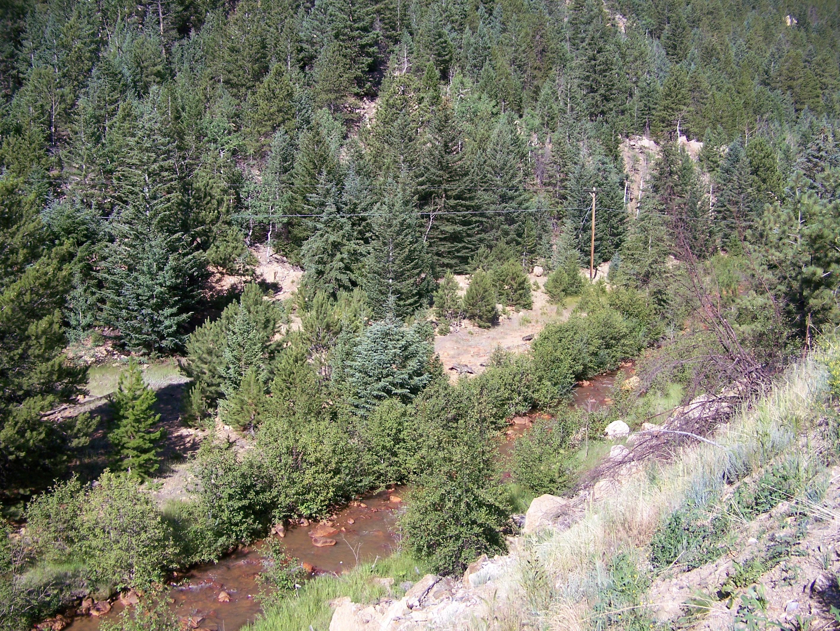 100_0512.jpg detail image