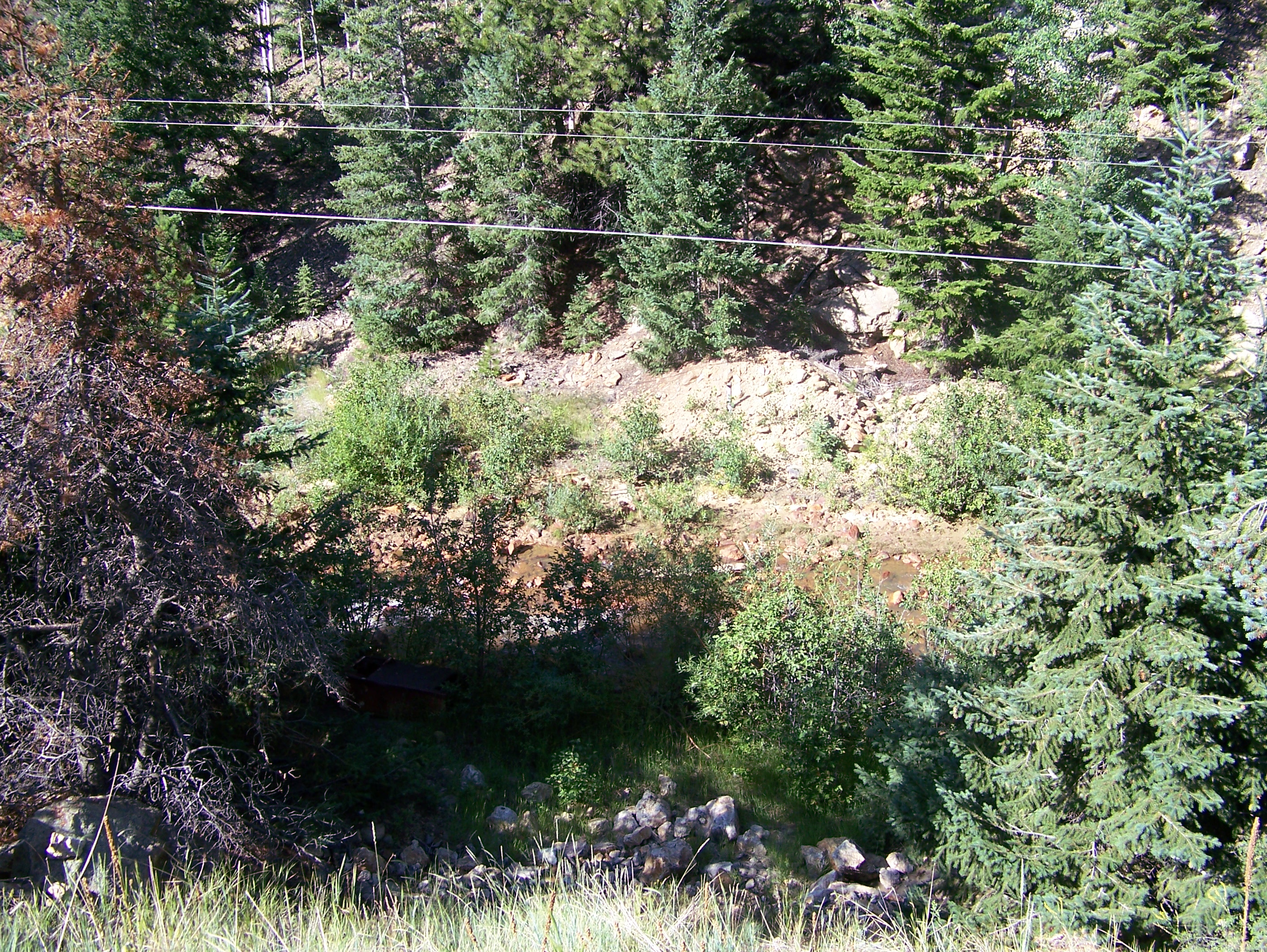 100_0513.jpg detail image