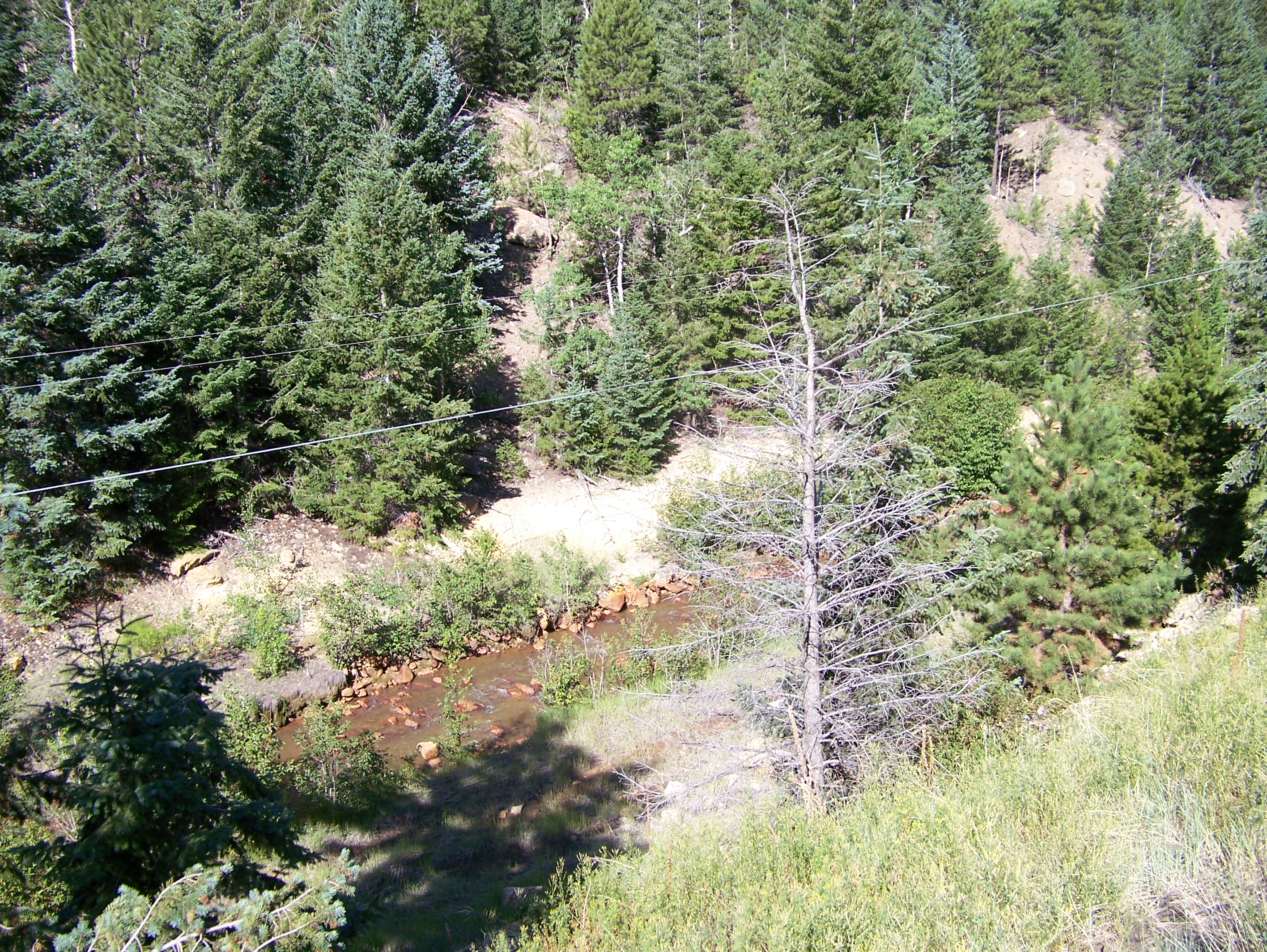 100_0514.jpg detail image