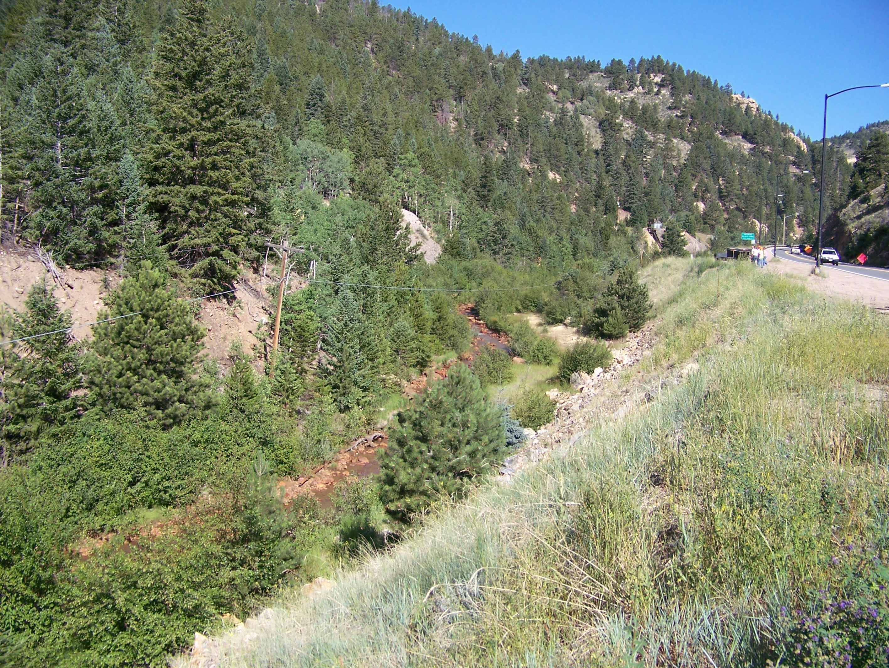 100_0515.jpg detail image