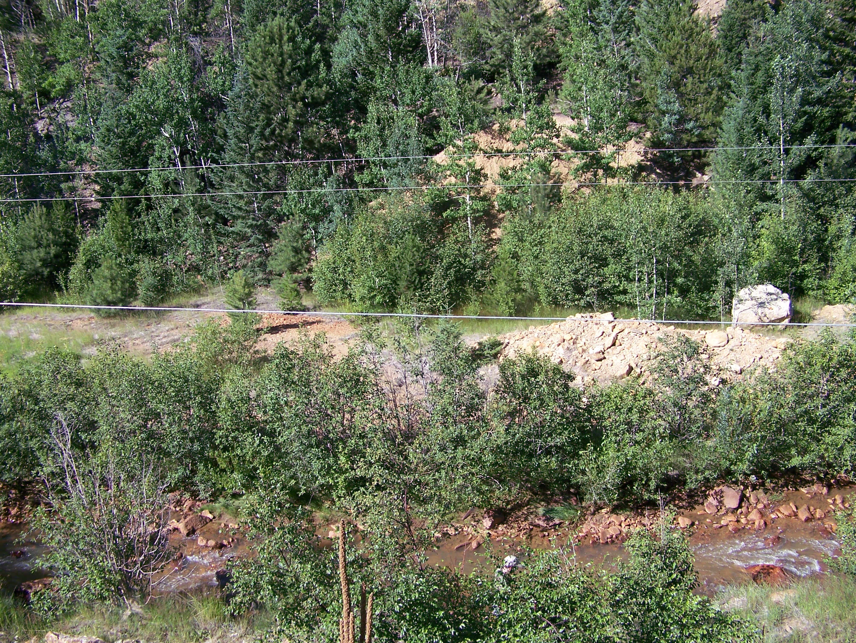 100_0520.jpg detail image