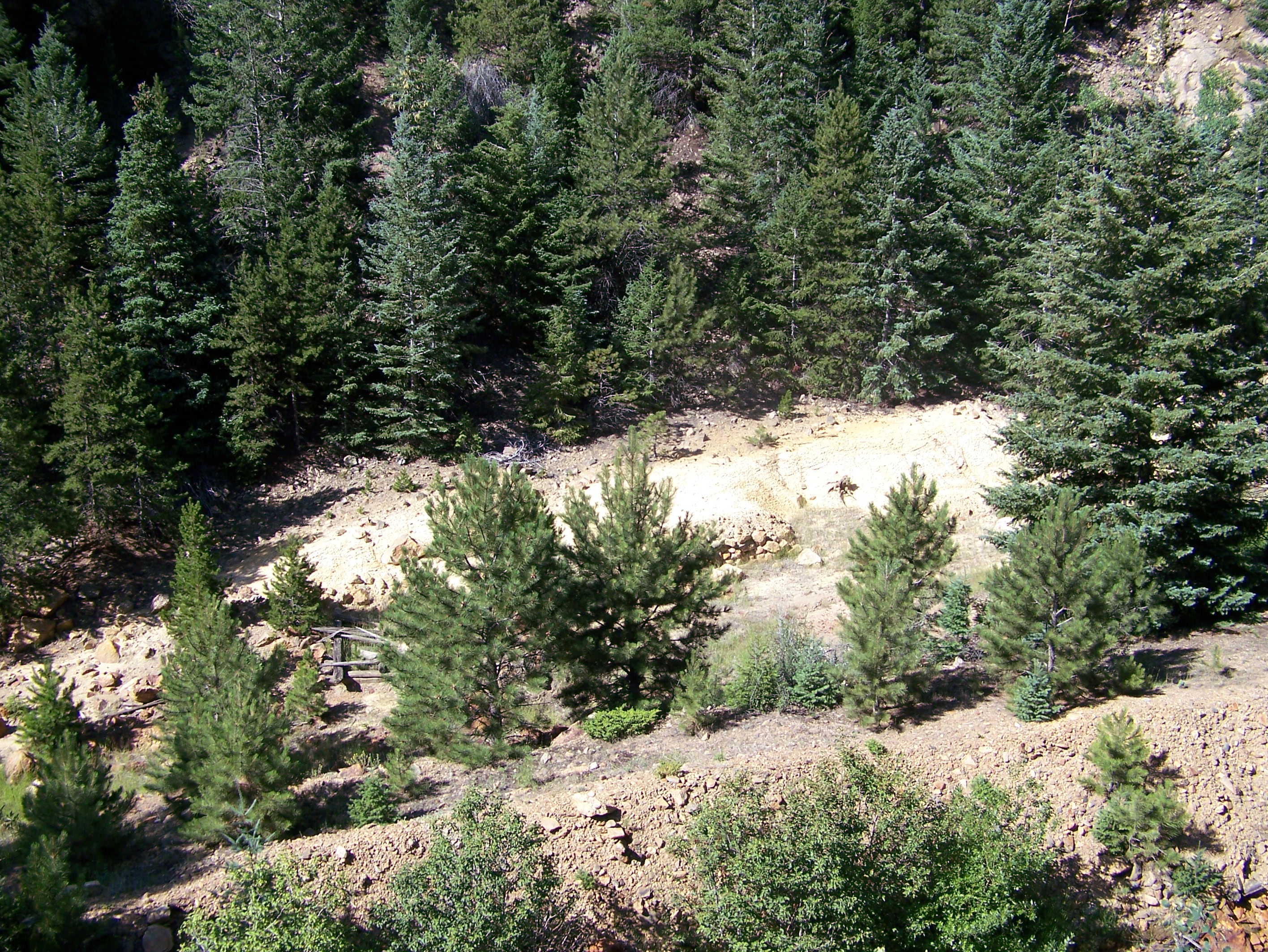 100_0535.jpg detail image