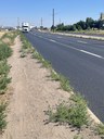 Freshly paved and striped section of Colorado Boulevard thumbnail image