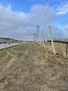 Timber poles are installed on I-25 for wildlife fencing thumbnail image