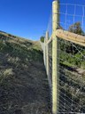 Completed section of the I-25 wildlife fencing on the west side of the highway. Crews will be moving to the east side in August. thumbnail image