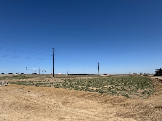 I-25 and CO 7 Interim Transit Improvements Site of Future Transit Hub.jpg detail image