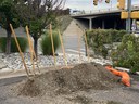 Shovels at groundbreaking .jpg thumbnail image