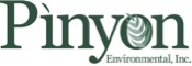 Pinyon Logo_Color.jpg detail image
