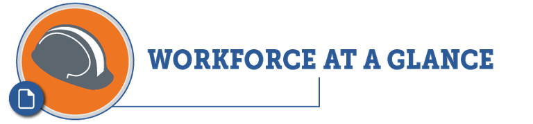 Workforce at a Glance PDF