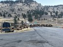 I-70 Floyd Hill Homestead Rock Elk - Dec. 8, 2025.jpg thumbnail image