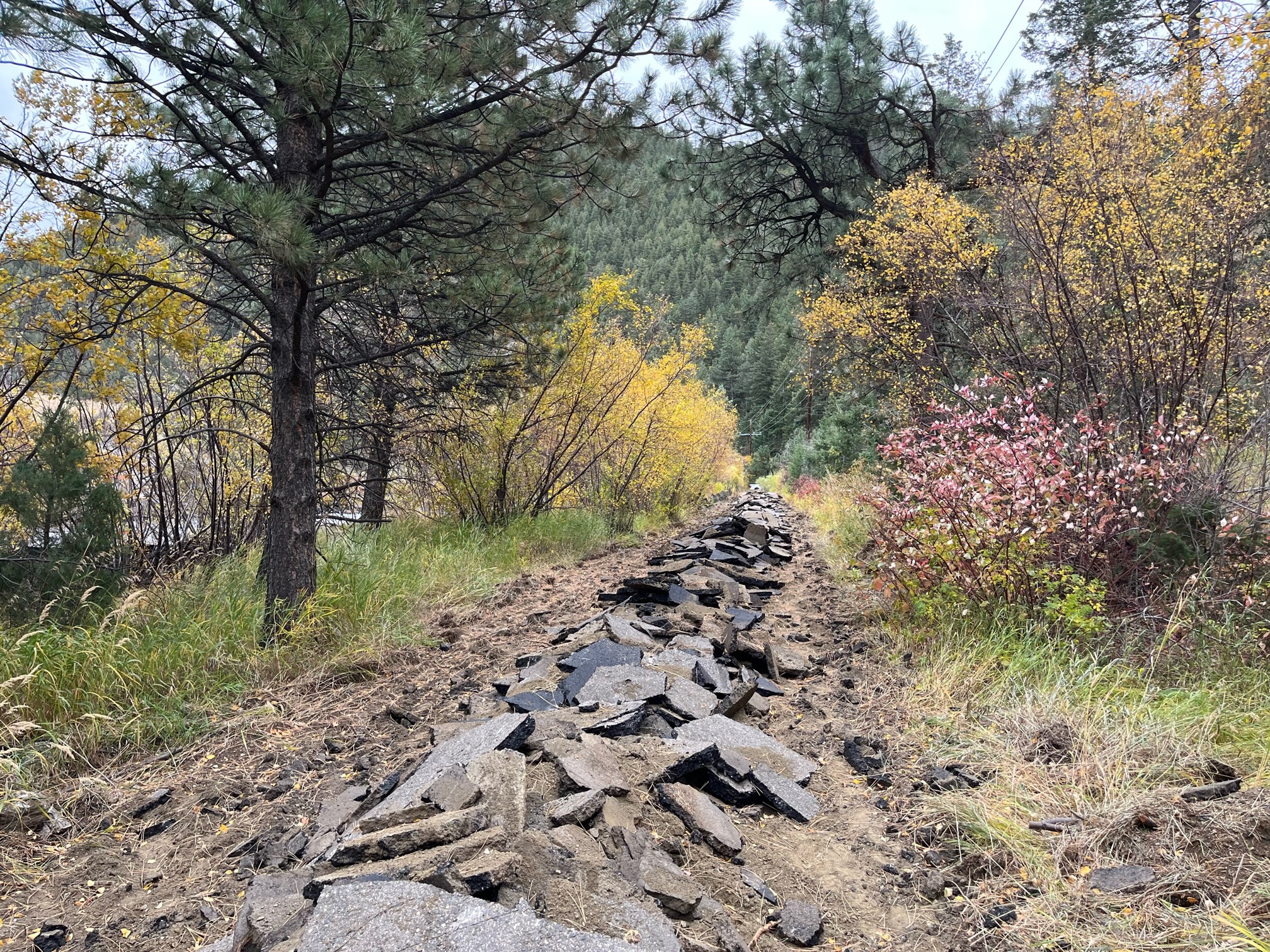 Asphalt ripped out of the ground along the Greenway Trail. detail image