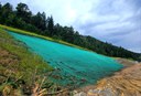 Green spray on ground for soil stabilization. thumbnail image