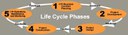 Life Cycle Phases thumbnail image