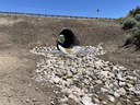 Southwestern Colorado Culvert Repairs CO 151 finished culvert with riprap July 2026.jpeg thumbnail image