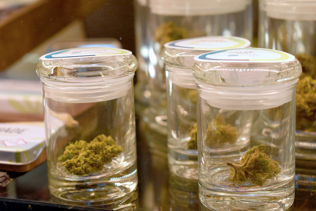 Cannabis in jars, marijuana in jars