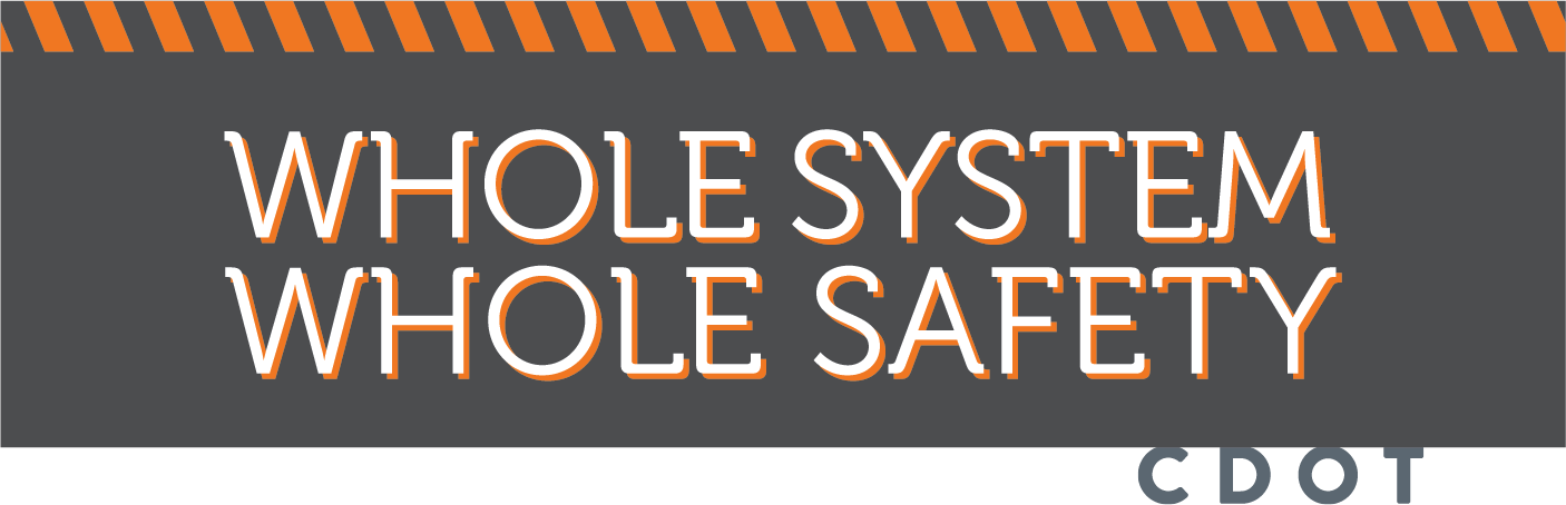 Whole System Whole Safety.png detail image