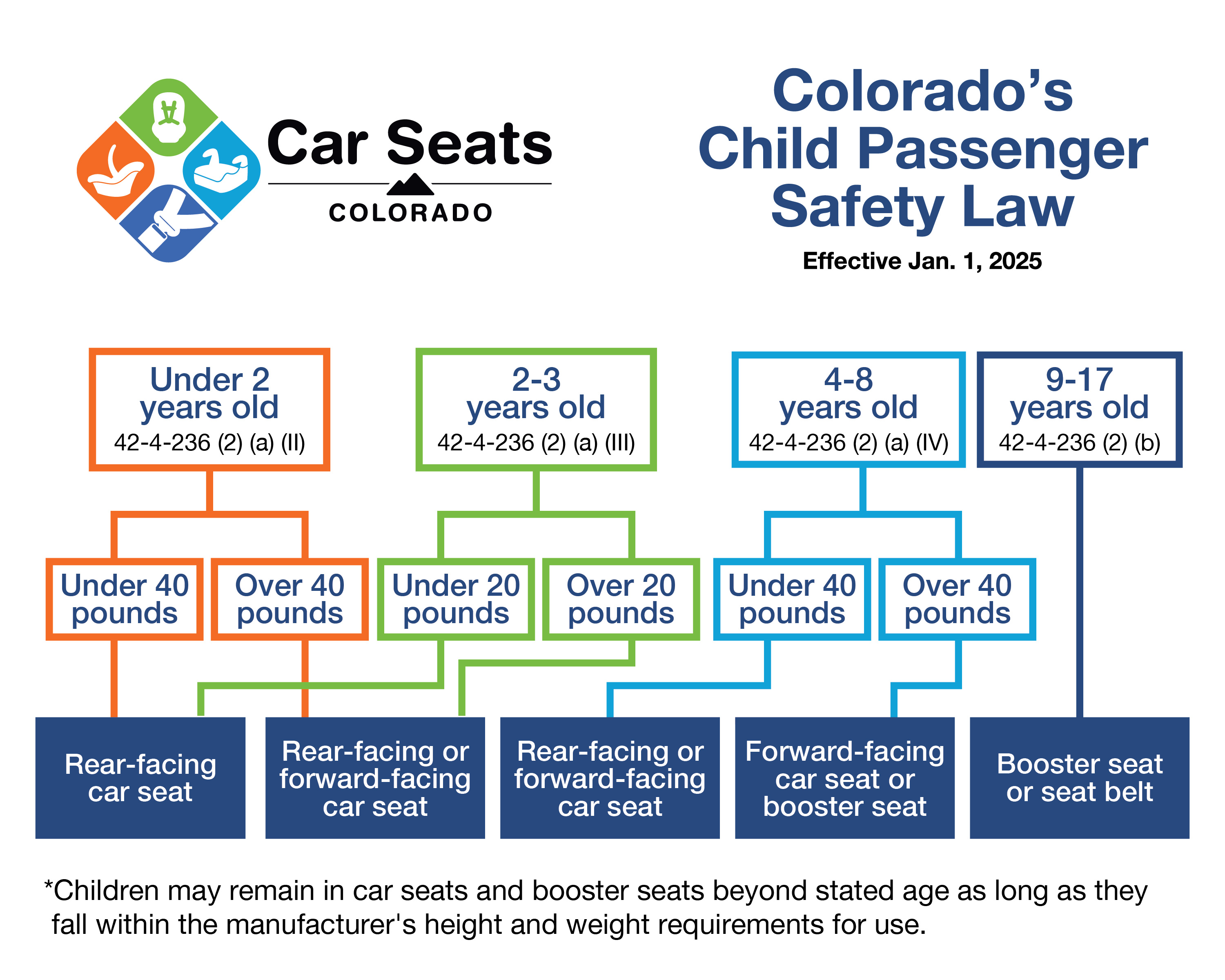 CPS Law Tree Card 1.jpg detail image