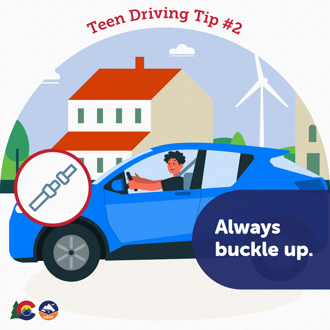 Teen Driver Tip 2 - Seat Belts.jpg detail image