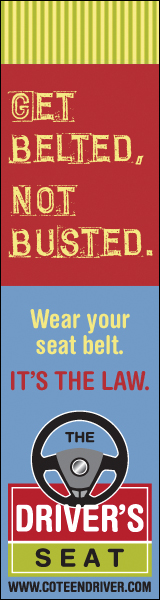 Seatbelt Vertical detail image
