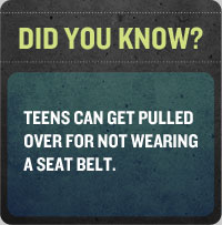 seatbelt banner detail image