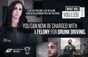 Felony DUI English 17x11 thumbnail image