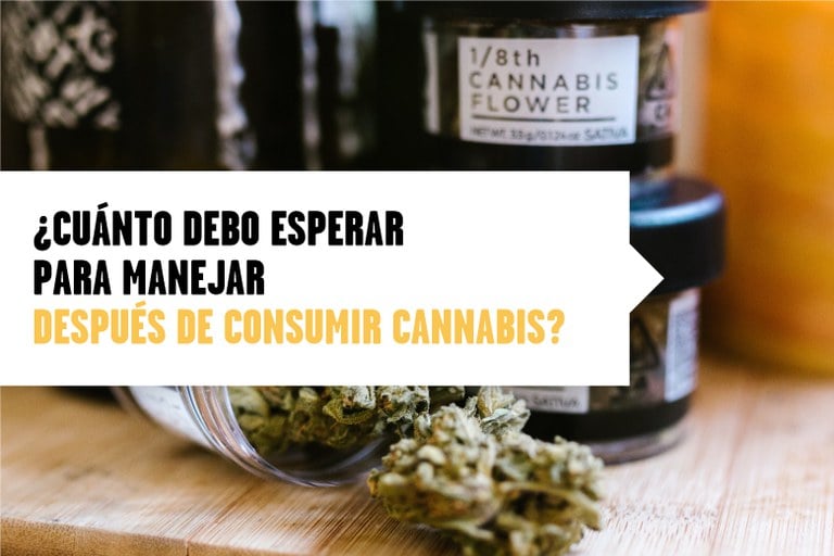 ¿Cuánto debo esperar para manejar después de consumir cannabis?