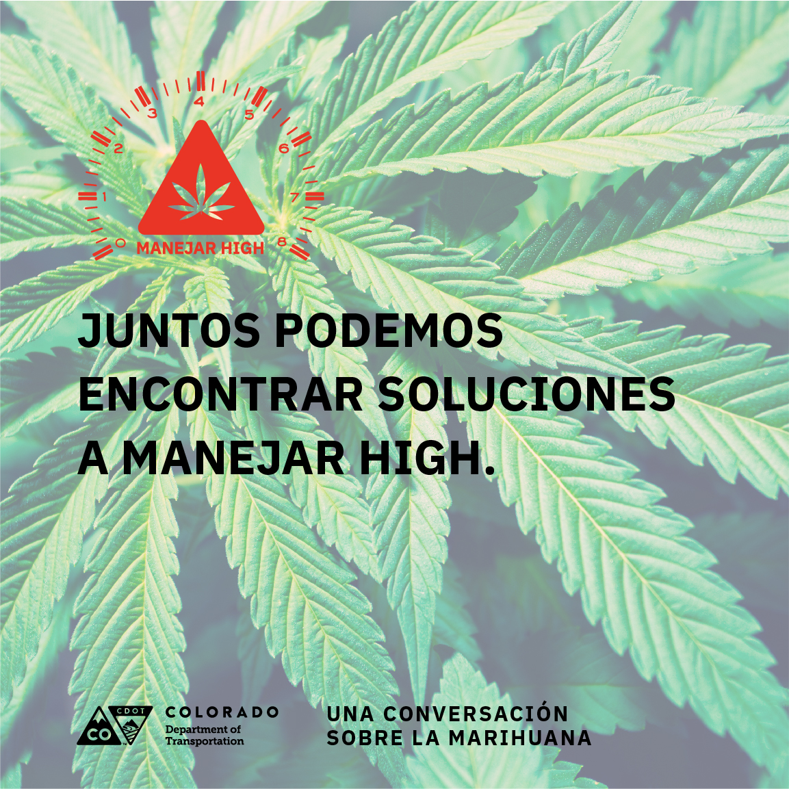 CD038_CannabisConversations_GraphicKit_Mech_v1_Spanish_Square_C.jpg detail image