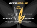 CDOT_Drugged_CostofDUI_Graphic_220321.jpg thumbnail image