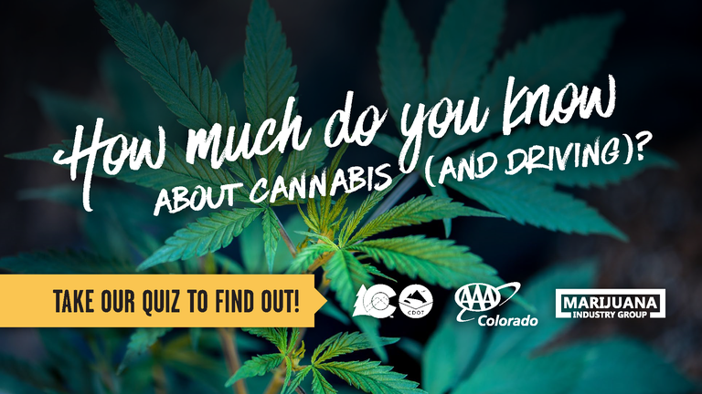 CDOT_CannabisQuizTitleSlide_Page_01.png CDOT_CannabisQuizTitleSlide_Page_01.png