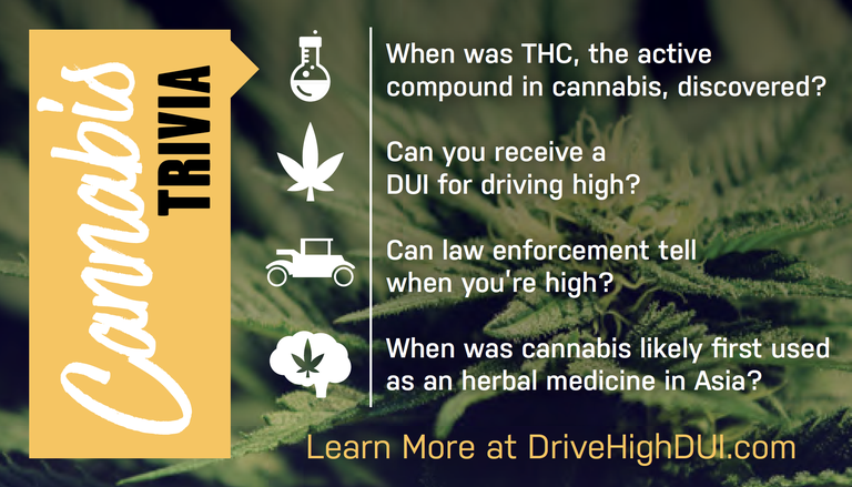 A graphic that shows the front side of a trivia card. A yellow banner that reads “Cannabis trivia” covers the left side. On the right side of the card, questions read “When was THC, the active compound in cannabis, discovered?”, “Can you receive a DUI for driving high?”, “Can law enforcement tell when you’re high?” and “When was cannabis likely first used as an herbal medicine in Asia?”. The bottom of the card directs readers to visit the website, DriveHighDUI.com. 