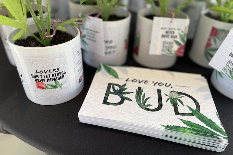 Valentine's Day giveaways at Native Roots, stickers read "love you, bud" and "lovers don't let others drive impaired"
